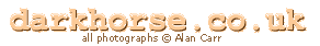 site url